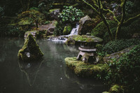 Фоны природы в Японии