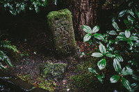 Камень с Японским иероглифом на природе